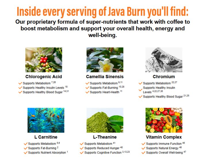 java burn 2.0 ingredients