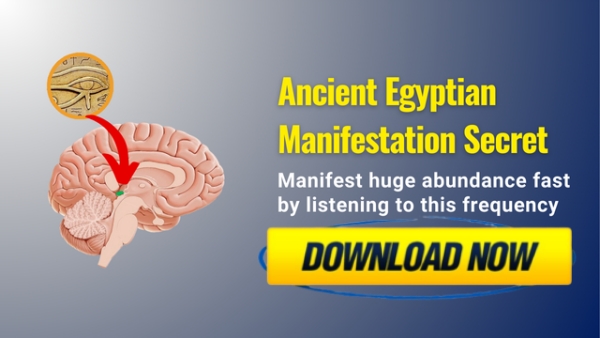 Buy Shifting Vibrations