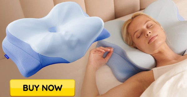 derila ergo pillow price in usa